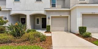 7052 GRAND ELM Drive Gallery 1
