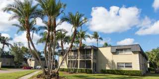 Imperial Palms Gallery 51