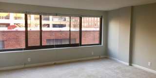 Updated Kitchen-1Bed 1Bath w Garage Parking at Georgetown Condo Gallery 8