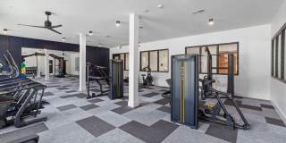 Gladwen Wendell Falls Gallery 15