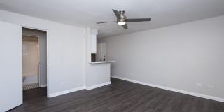 Emily Dickinson Gallery 7