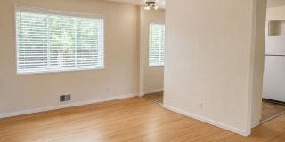 Home in South Boulder for Fall Pre-Lease! Gallery 4
