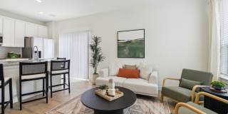 Canvas at Midlothian Gallery 5