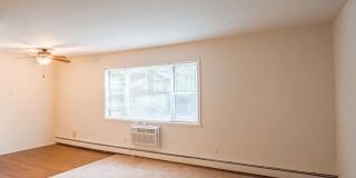 New Paltz Gardens Gallery 4