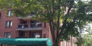 Coolidge Corner, Prime location!  West facing bright condo w/Garage Parking Available 9/1! Walk to Longwood! Gallery 3