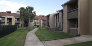 5293 Vineland Road Gallery 9