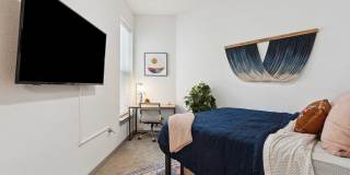 Student Housing-East Village Gallery 21