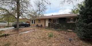 Quiet Ranch Retreat Steps from Light Rail with Finished Basement & Designer Kitchen Gallery 36