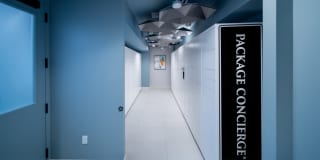 The 202 Gallery 51