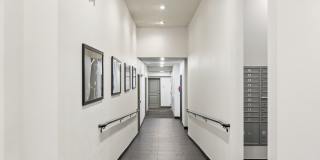 1711 Apartments Gallery 4