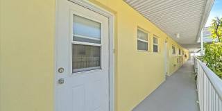 Dolphin Beach Gallery 3