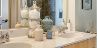 The Palatine Apartments Gallery 11