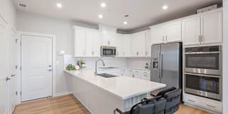 44504 WOLFHOUND Square Gallery 6