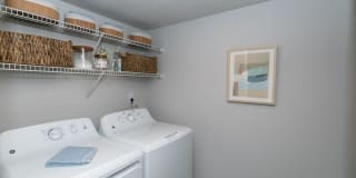 Champions Glen Gallery 24