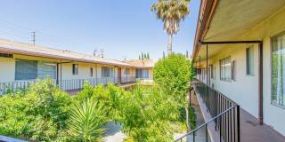 Parthenia Twin Gallery 1