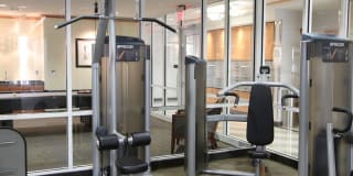 Thomas Court Gallery 19