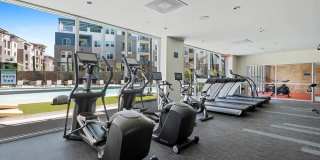 Array Vista Canyon Gallery 37