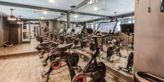 The Griff Gallery 29