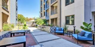 Downtown Ontario Luxury Apartments Gallery 98