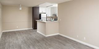 Forest Glen Gallery 24