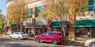 Fairchase Gallery 67