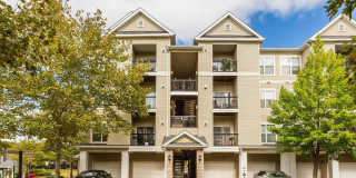 5105-E TRAVIS EDWARD Way Gallery 1