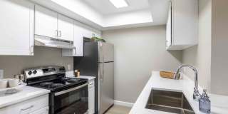 Reflections on 92nd Gallery 16