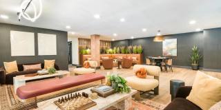 Modera Higley Commons Gallery 14