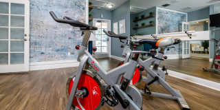 Carrington Lane Gallery 20