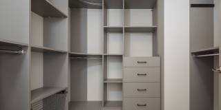 The Merian Gallery 26