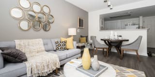 Ballston Place Gallery 15