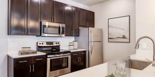 Falcon at Grand Harbor Gallery 1