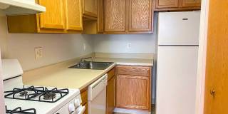 Lake Pointe Gallery 1