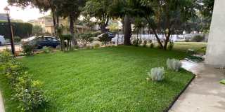 M Cypress Gallery 17