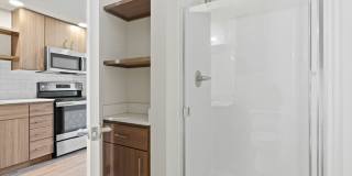 The Fifty at Division Gallery 11