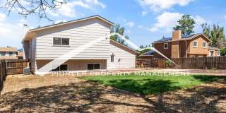 Updated 4 Bed, 2 Bath Home in Briargate with Mountain Views, fully fenced yard, 2 car garage and AC Gallery 21