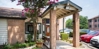 10332 Golden Meadow Dr 10332 Golden Meadow Dr Gallery 1