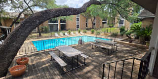 Forest Ridge Gallery 41