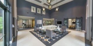 The Collection Gallery 9