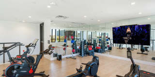 Aster Aster Gallery 12