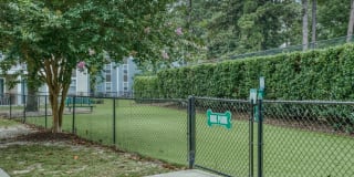 Village Green Gallery 34