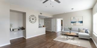 Springmarc Gallery 8