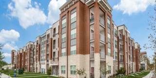 Palladium RedBird Gallery 1