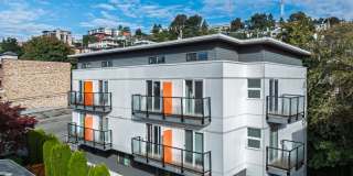 Vistana Vistana Gallery 1