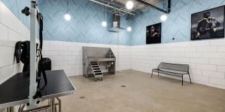 The Signal Gallery 39