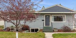 Burlington Gallery 1