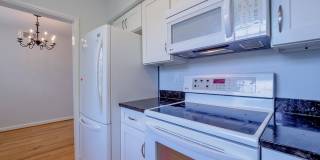 Sunny & Renovated 2BR 1BA in NW DC McLean Gardens Oasis! Gallery 14