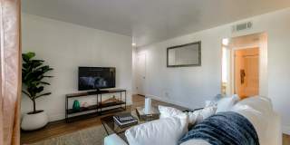 University Plaza Gallery 36