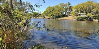 2746 ORCHID OAKS DRIVE Gallery 58