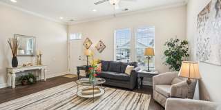 Ailsa Village Gallery 19